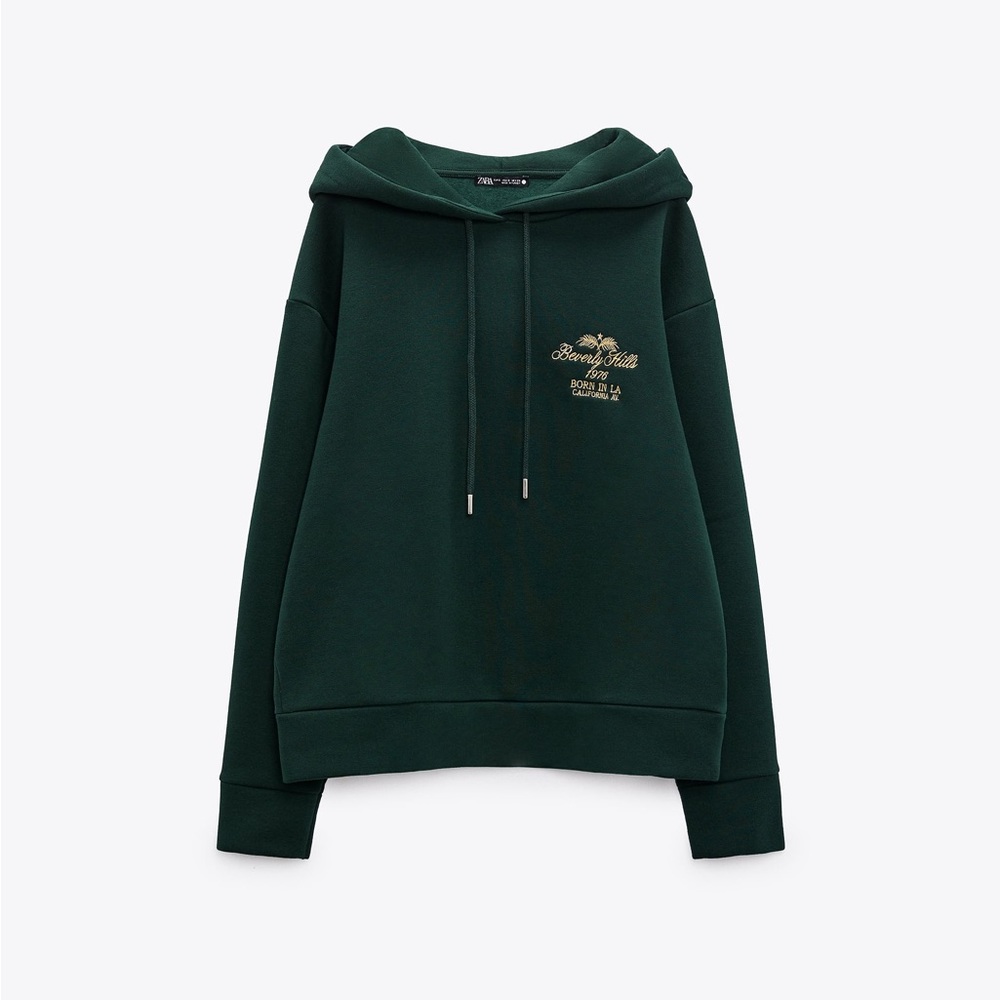 Zara Embroidered Hoodie